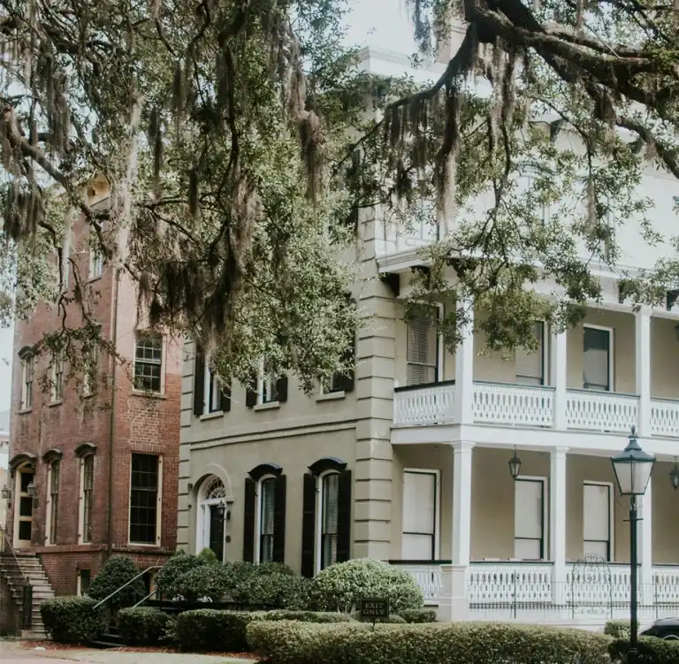 savannah
